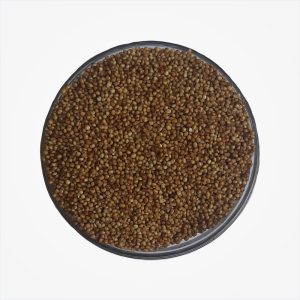Kodo Millet (Varagu)