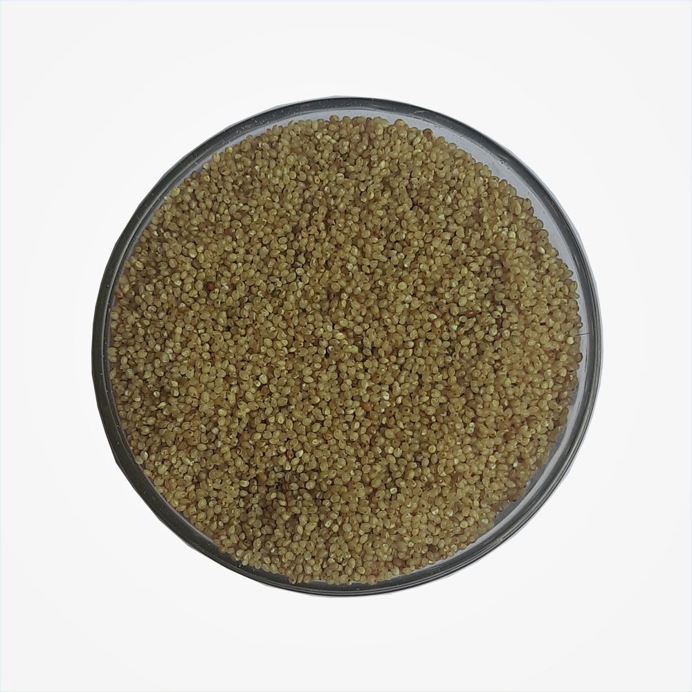 Litter Millet (Saamai)
