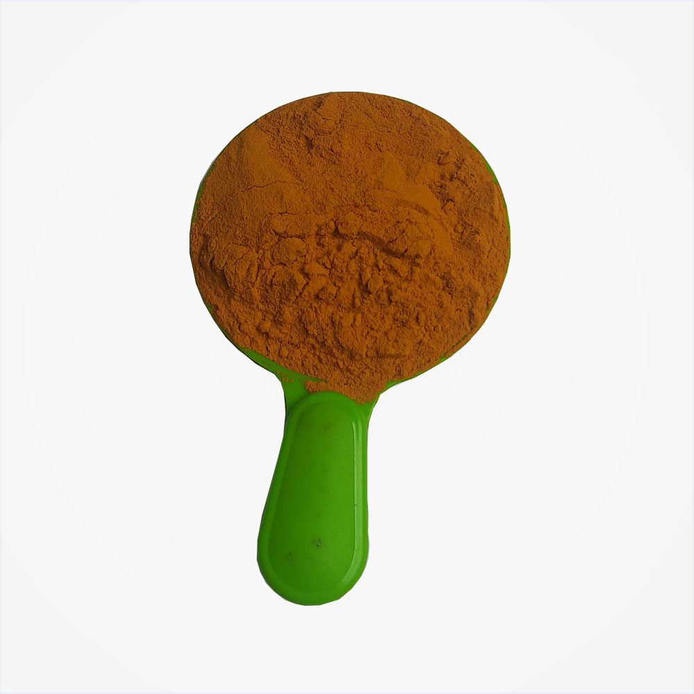 Turmeric-Powder-2