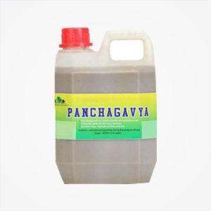 Panchakavya