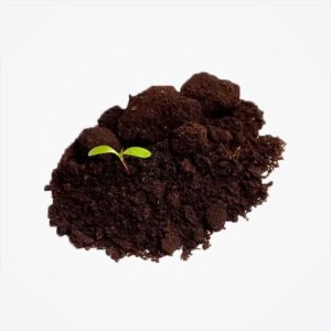 Vermicompost