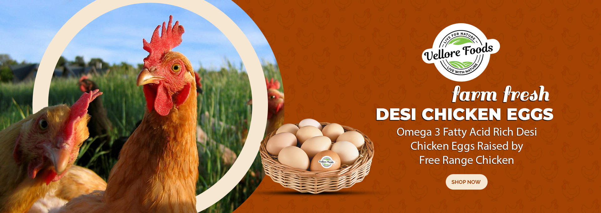 3-desi-chicken-banner1